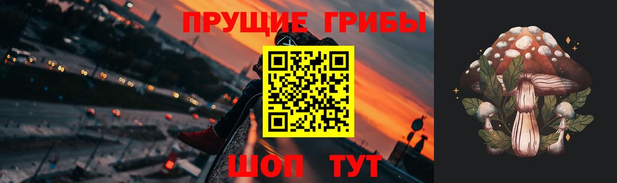 Псилоцибиновые грибы GOLDEN TEACHER  где найти наркотики  Верхняя Пышма  Вход с VPN 